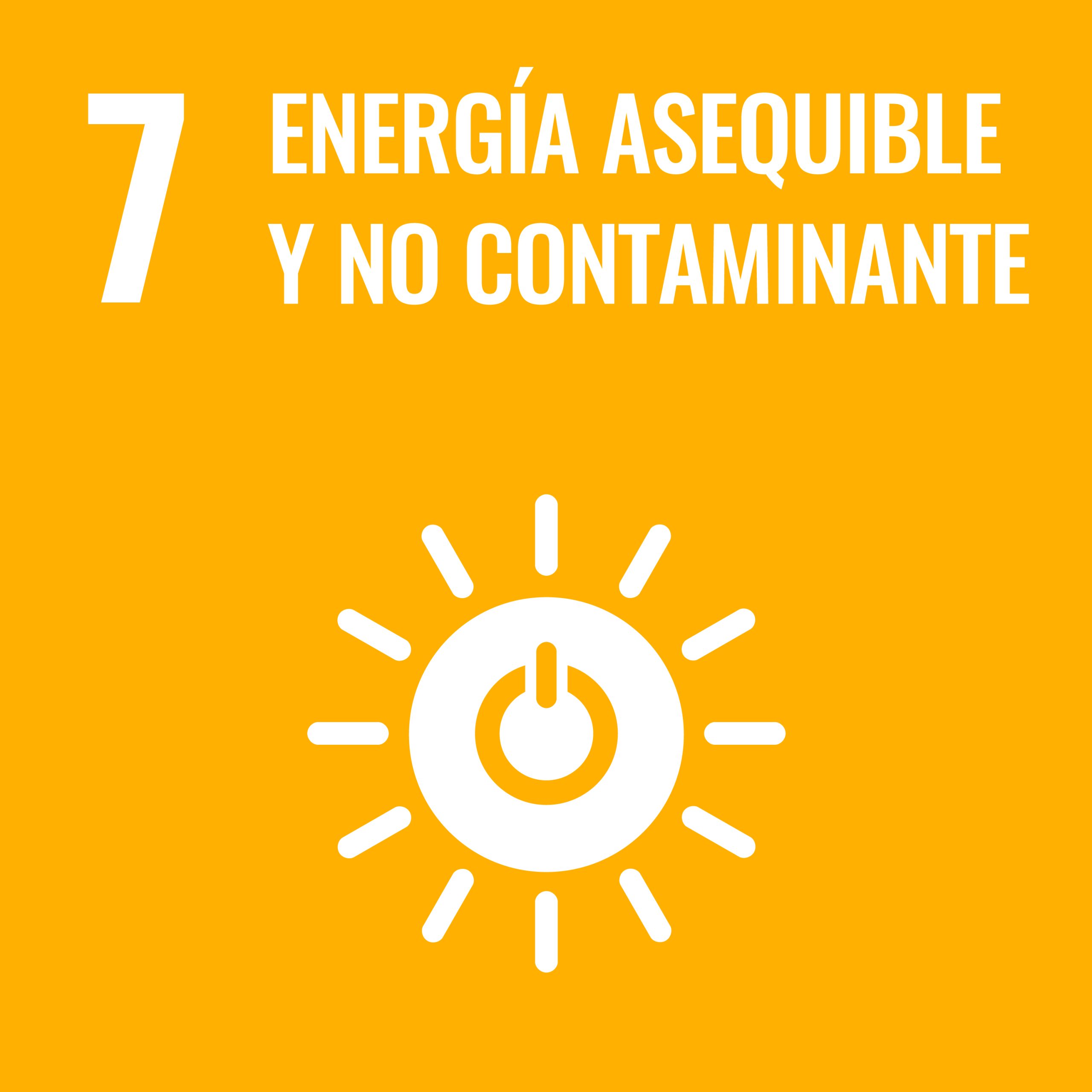 Sustainable_Development_Goal-es-11